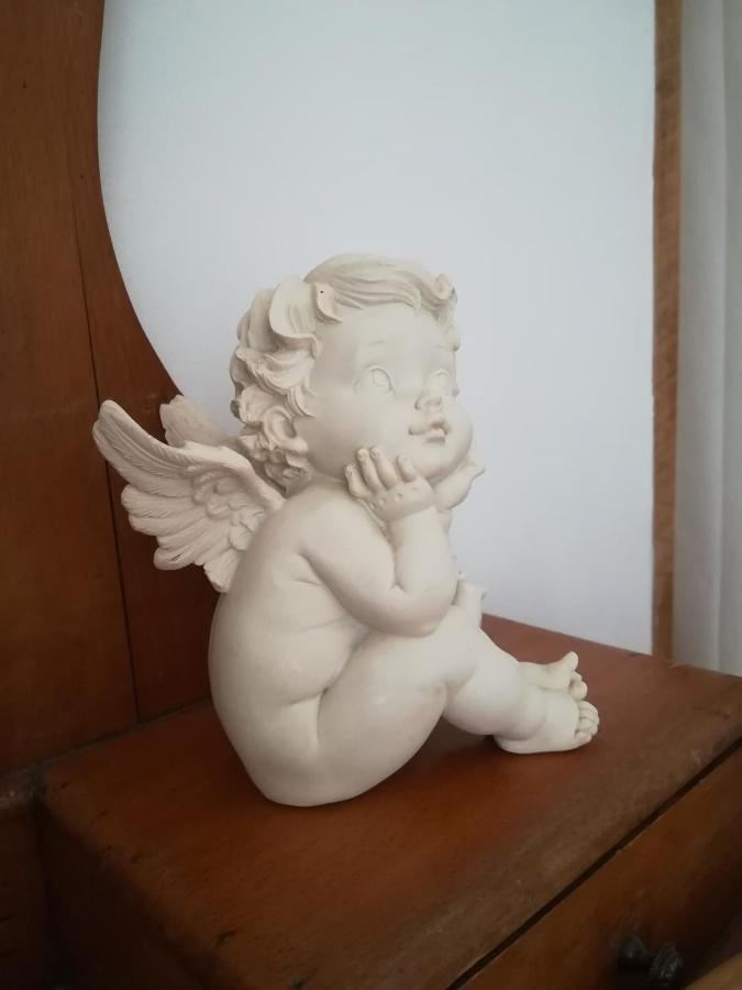 Willa La Ferme Constantin Fayence Zewnętrze zdjęcie