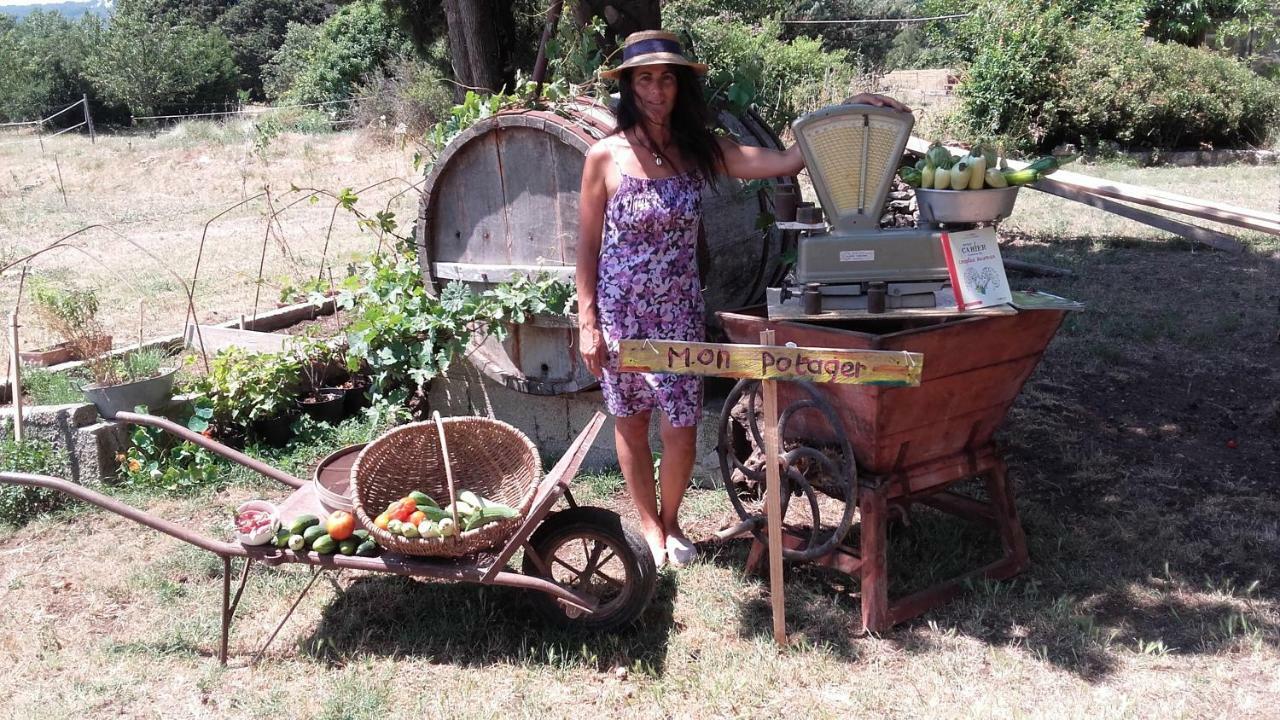 Willa La Ferme Constantin Fayence Zewnętrze zdjęcie